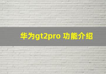 华为gt2pro 功能介绍